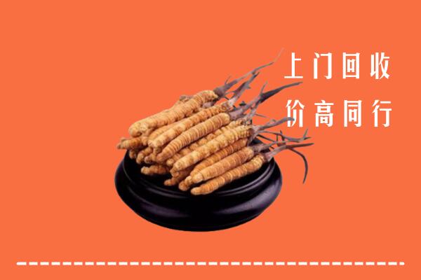 高价求购：荣昌区回收散虫草