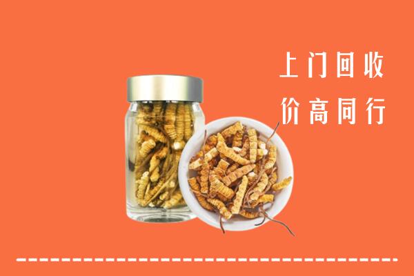 收购行情：荣昌区回收冬虫夏草